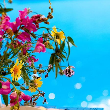 Encanto Vegetarian Bed & Breakfast Bed & Breakfast Xagħra Eksteriør bilde