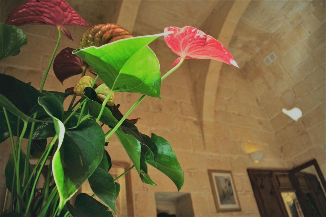 Encanto Vegetarian Bed & Breakfast Bed & Breakfast Xagħra Eksteriør bilde