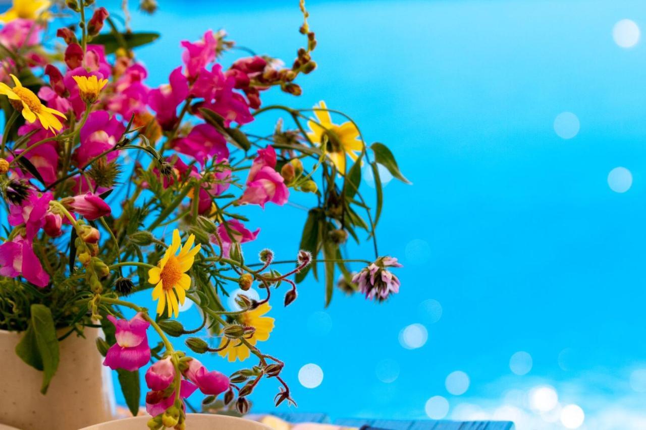 Encanto Vegetarian Bed & Breakfast Bed & Breakfast Xagħra Eksteriør bilde